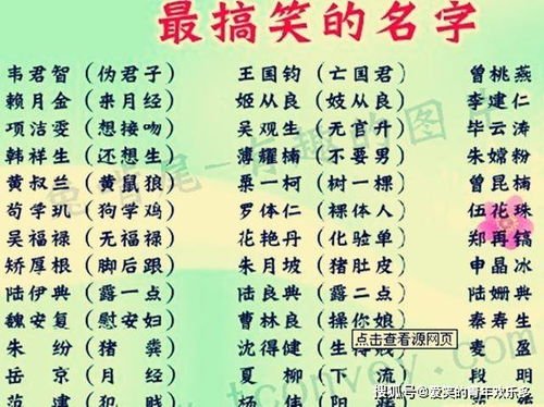 木字旁的字女孩起名字寓意好的