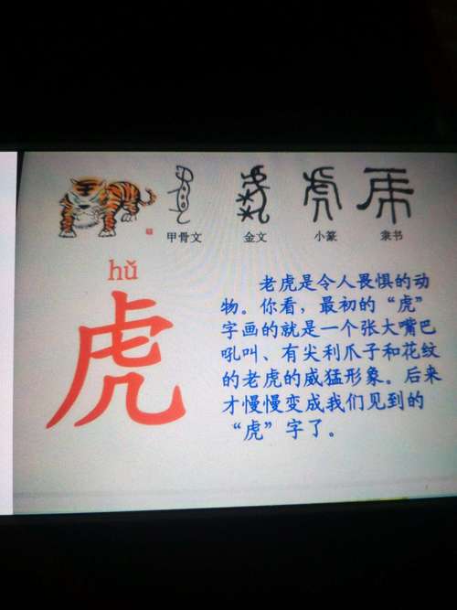 属虎王姓起名笔画怎么取名字