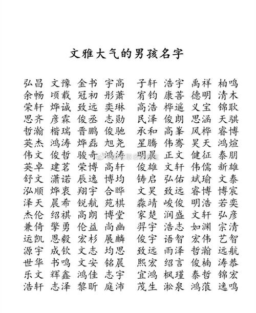 属猪姓杨男孩起名字