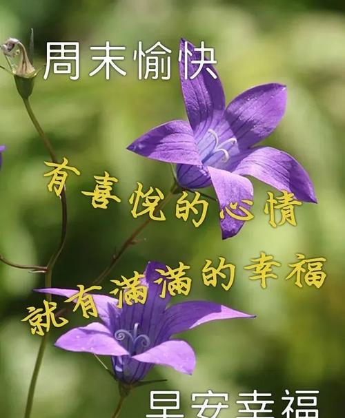 阳光下的旧情倾诉三日时光的温暖祝福