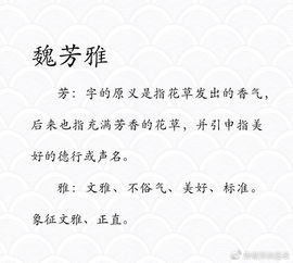 一、研究背景及意义