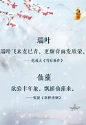 雪网名起名文化的培训心得体会