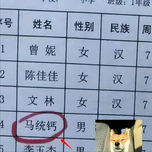 龙年宝宝起名宜用字