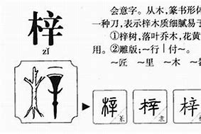 1.起名背后的故事