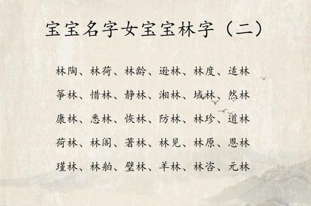 林致名字的意思