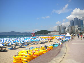 沿海多地海水倒灌沿海多地海水倒灌的原因