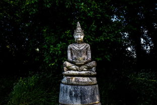 古代文学课程与奥运精神，一次文学与体育的交融古代文学的基本精神