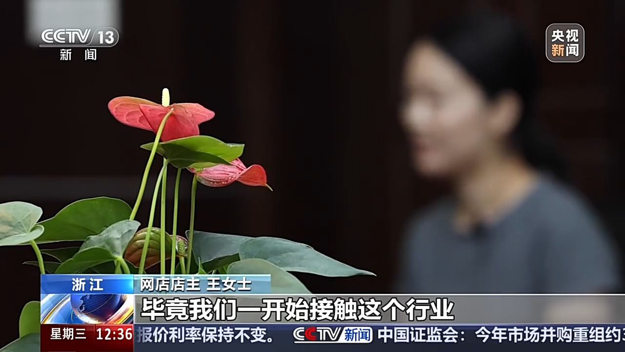 花钱就能“转评赞”，揭秘网络水军如何造“人气”，揭秘网络水军，花钱就能转评赞