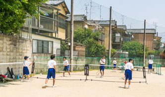 石家庄健康学校，守护健康的摇篮石家庄中和健康学校