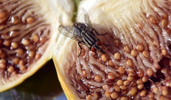 上海8万元学费学校食物疑变质出现虫子，校方：管理失职