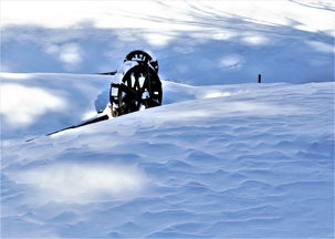 韩国百年罕见大暴雪韩国百年罕见大暴雪视频