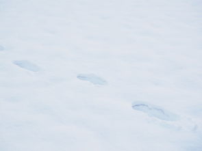 雪地上的痕迹，苏联文学的独特魅力雪地上的足迹