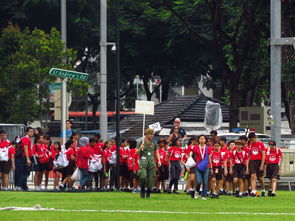 优秀小学体育教案优秀小学体育教案设计