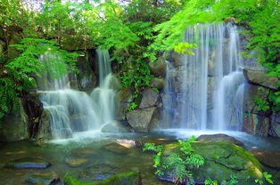 浙山婺水缀明珠，浙山婺水缀明珠