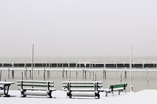 上海下雪了上海下雪了吗