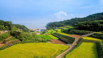 体旅融合，为贵州乡村振兴注入强劲动力，体旅融合，为贵州乡村振兴注入强劲动力