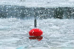 国网华中分部组织应对雨雪冰冻极端天气联合应急演练