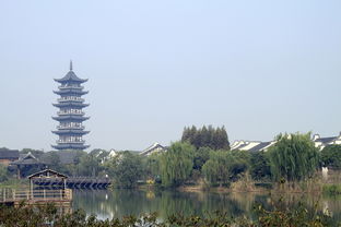 费县，文化浸润激活乡风文明“一池春水”，费县，文化浸润激活乡风文明一池春水