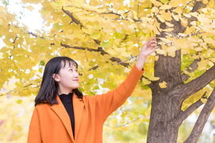 淄博瀚文学校杜萍，一位传奇女校长的教育之路淄博瀚文学校杜萍有儿子吗